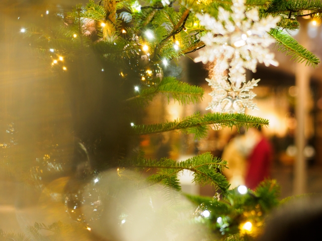 櫻井で開催するクリスマスシーズンの出会いイベント特集！